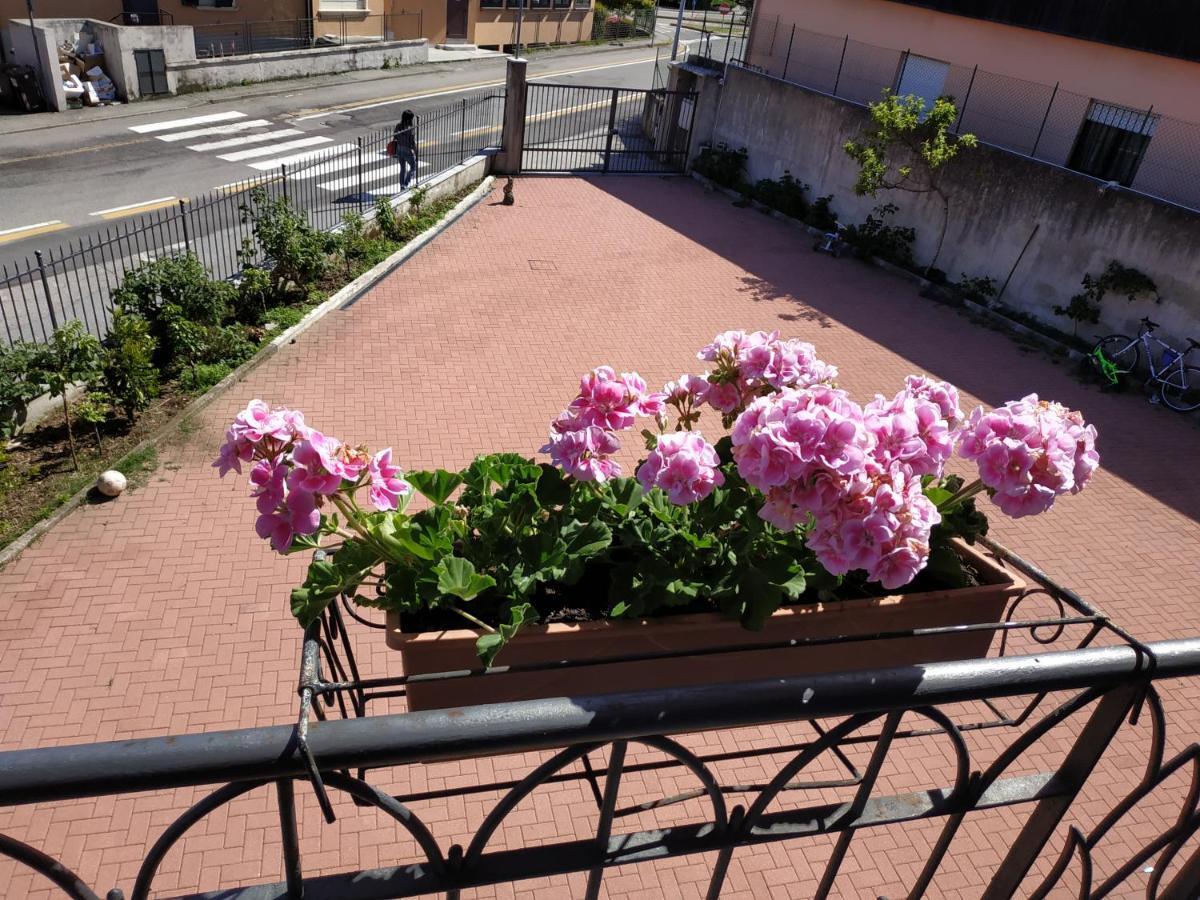 Appartement Casa Marina à Verbania Extérieur photo